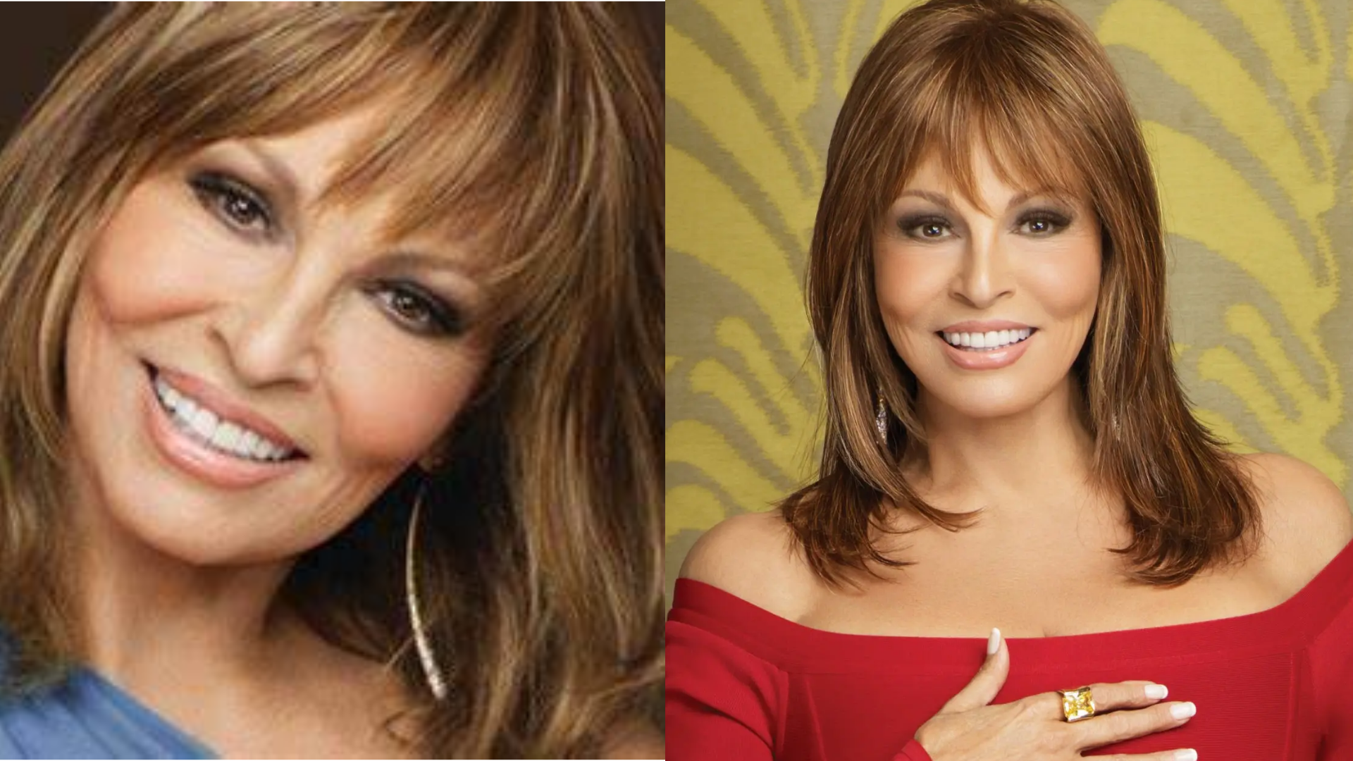 Raquel Welch Net Worth: Family, Age, Wikipedia
